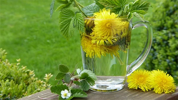 Plant Collar: How to Make One in 5 Minutes
